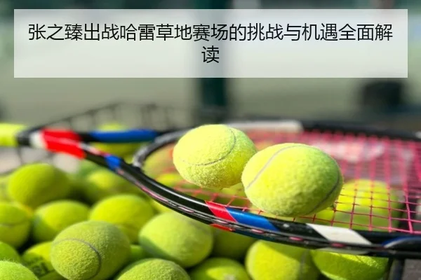 张之臻出战哈雷草地赛场的挑战与机遇全面解读